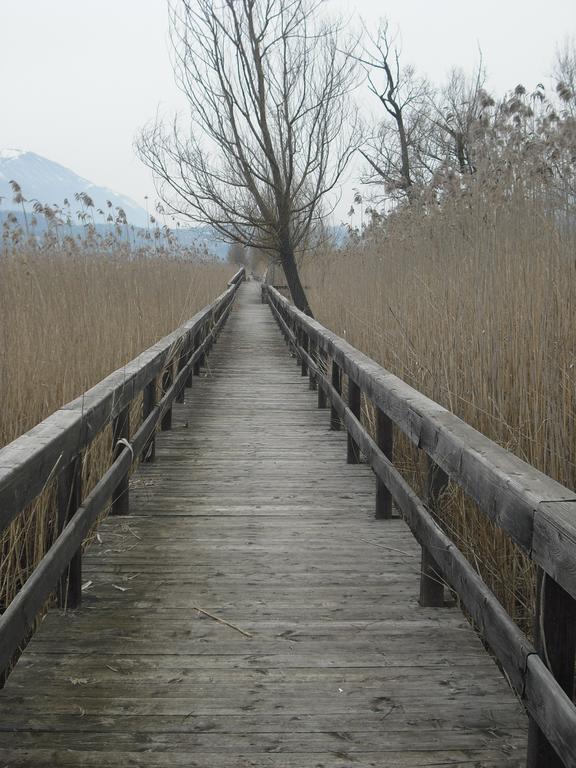 La Casa Sul Lago Posta Fibreno Экстерьер фото